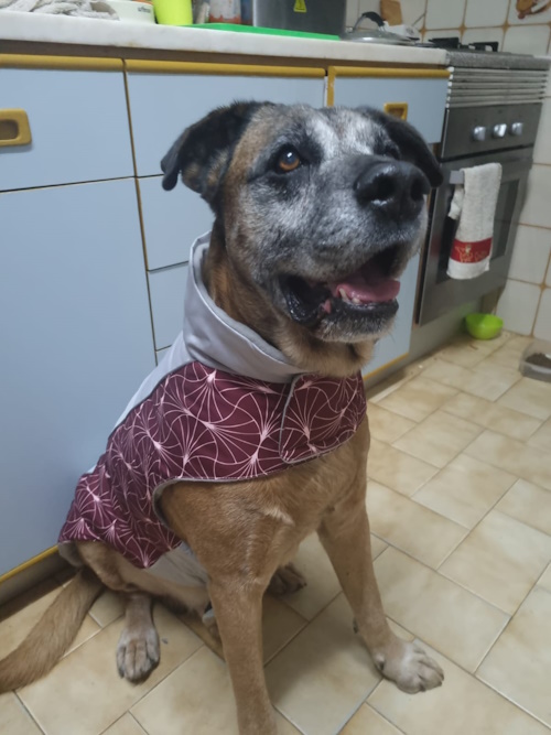 Bob in his coat