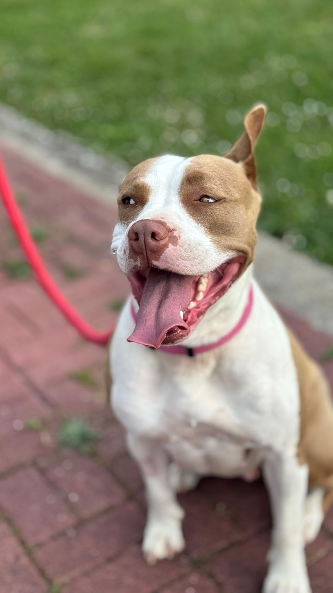 Chloe