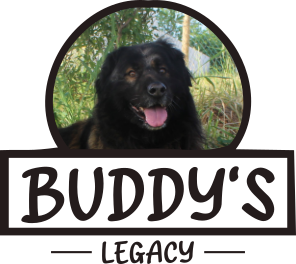Buddy's Legacy Logo
