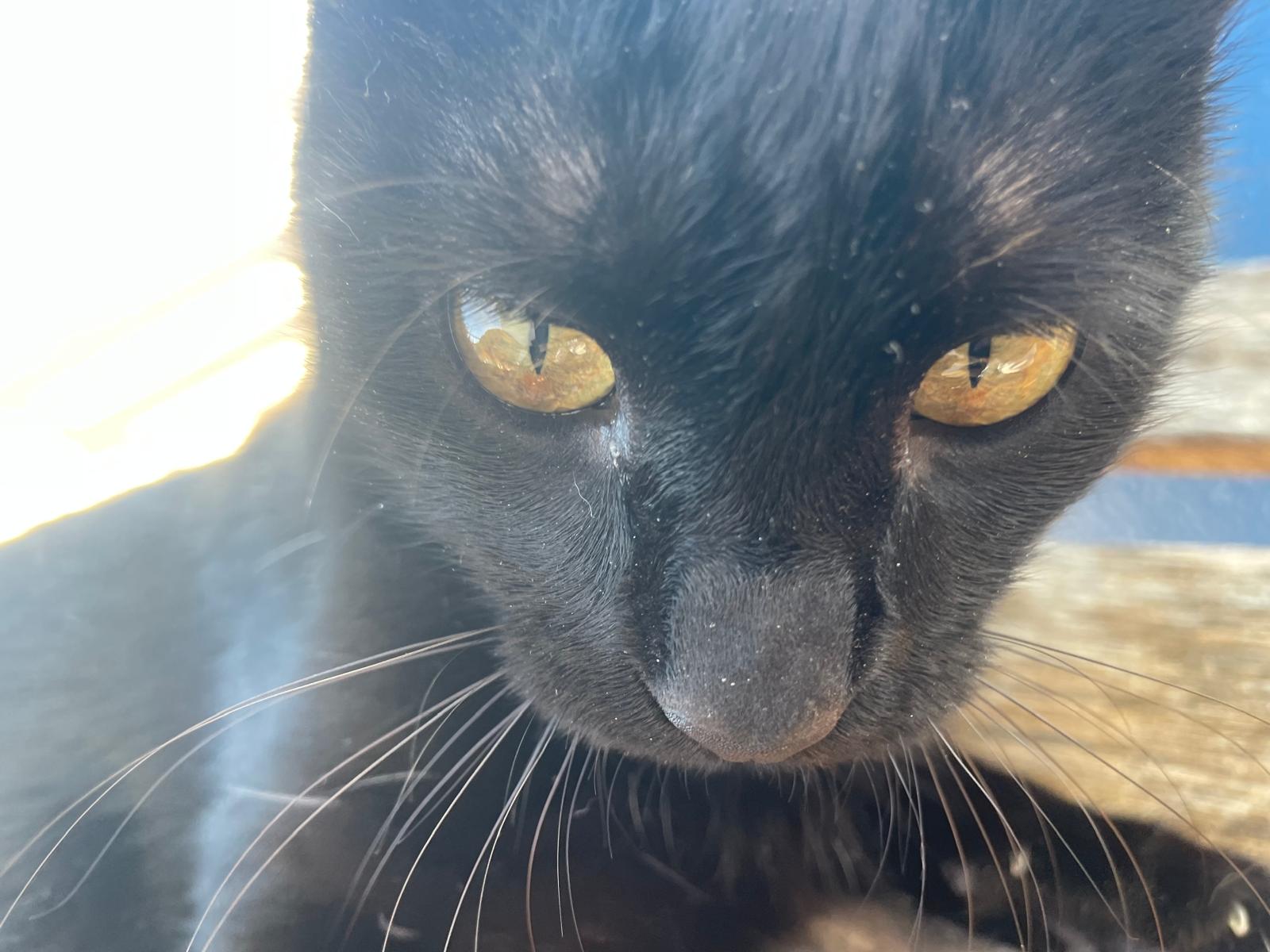 Lua