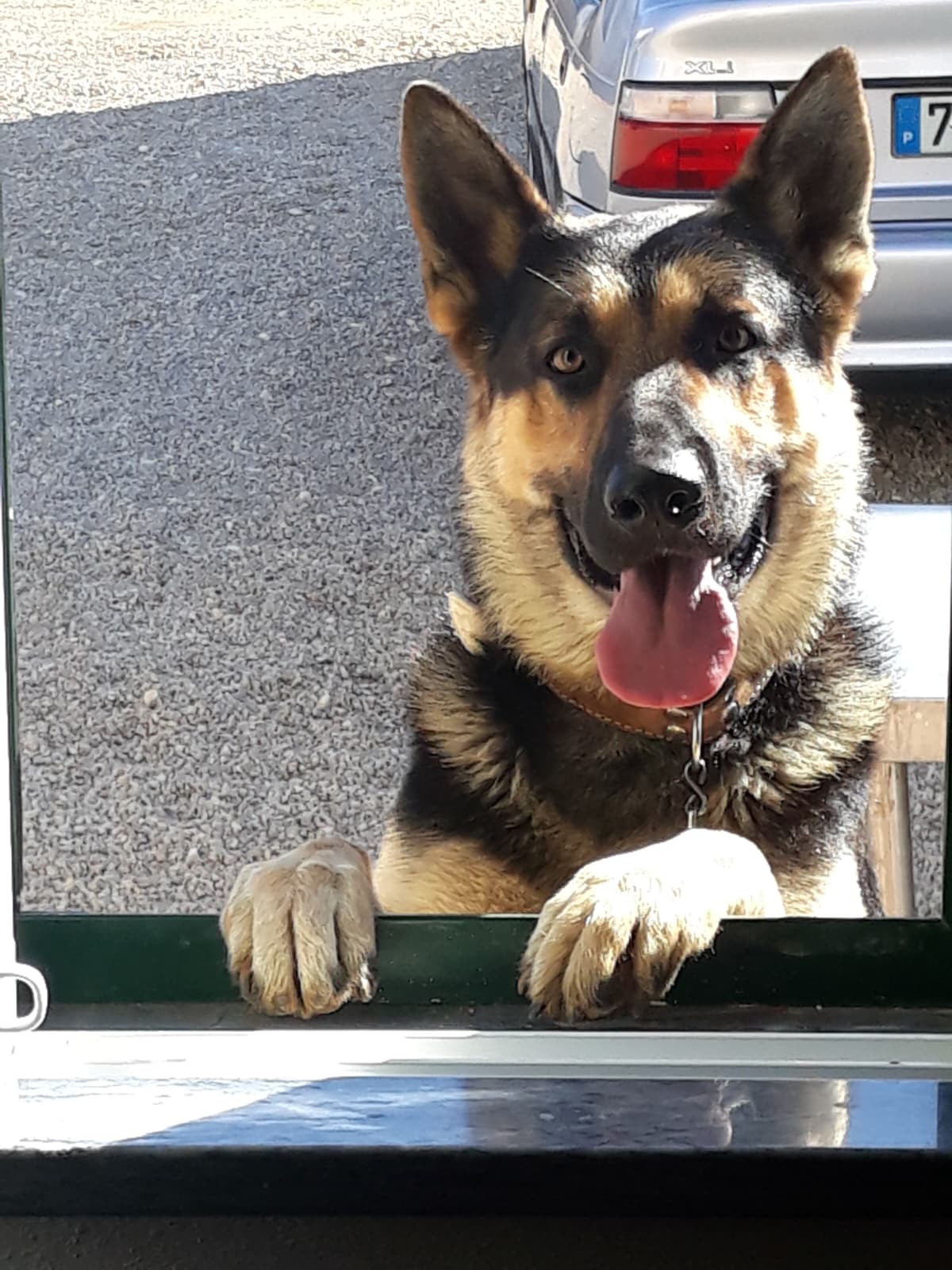 Max
