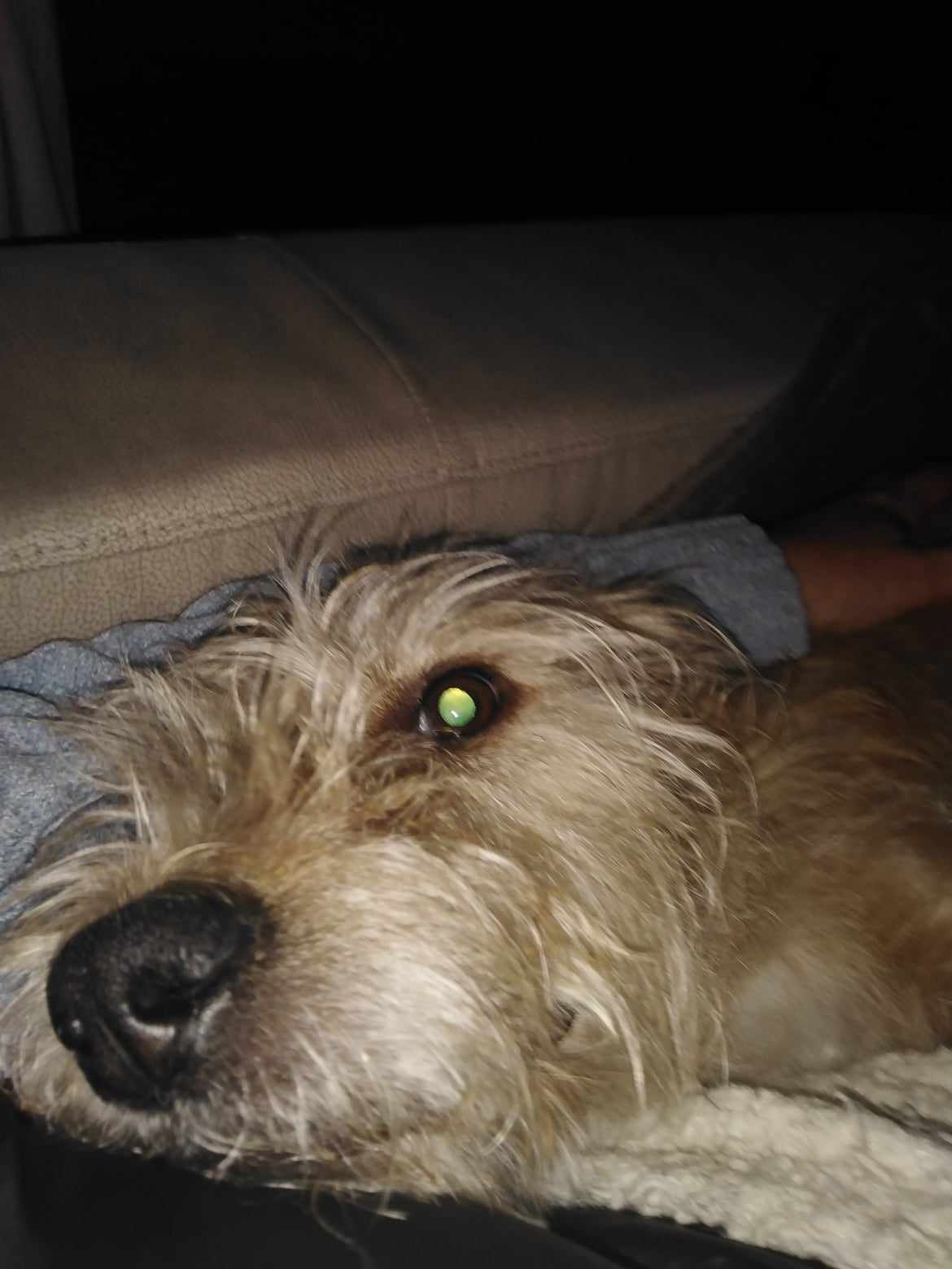 Mel