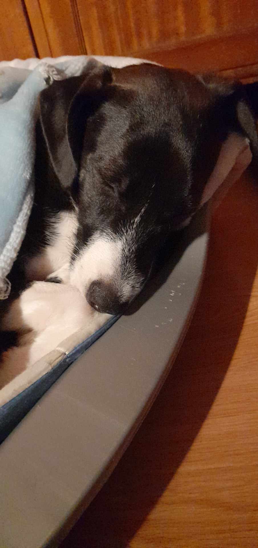 Nina